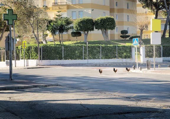 Chicken road casino, juego chicken road